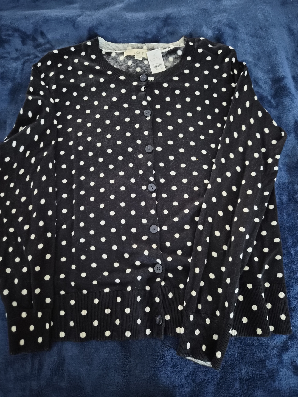 LOFT Navy and White Polka Dot Button Cardigan NEW